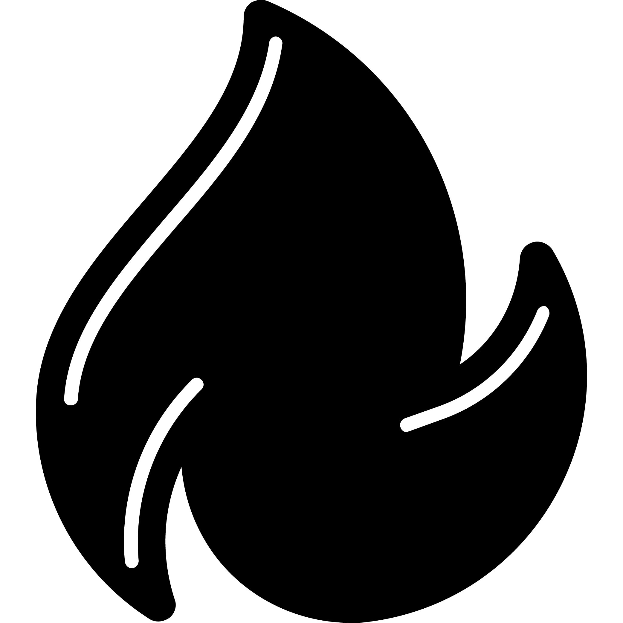 Flame Logo